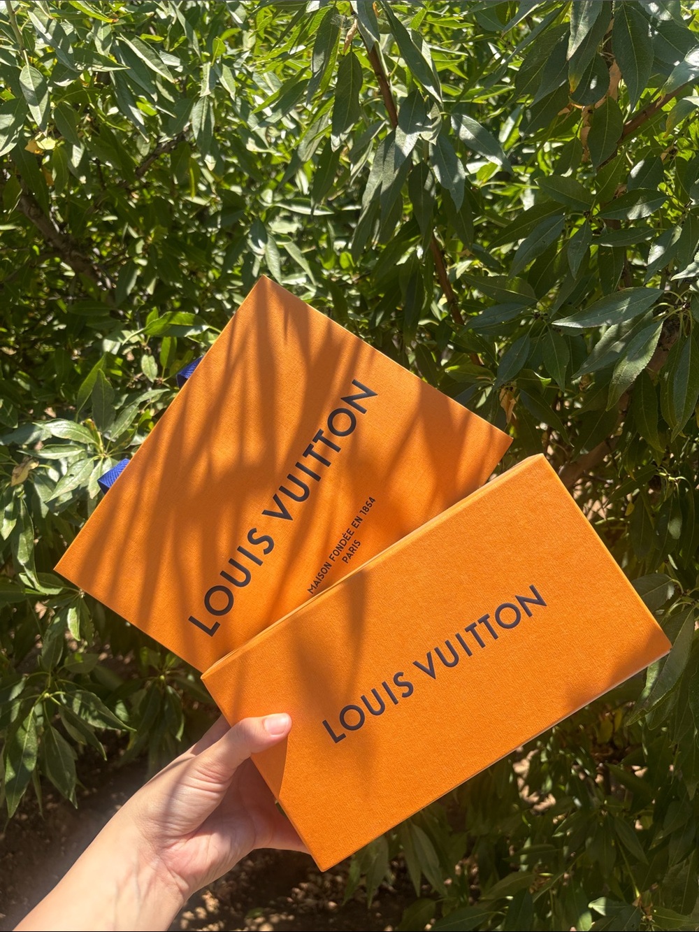 Louis Vuitton Shopping Bag and Box